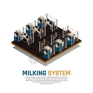 乳制品生产奶厂等距成与可编辑文本半自动挤奶操作矢量插图的视图挤奶